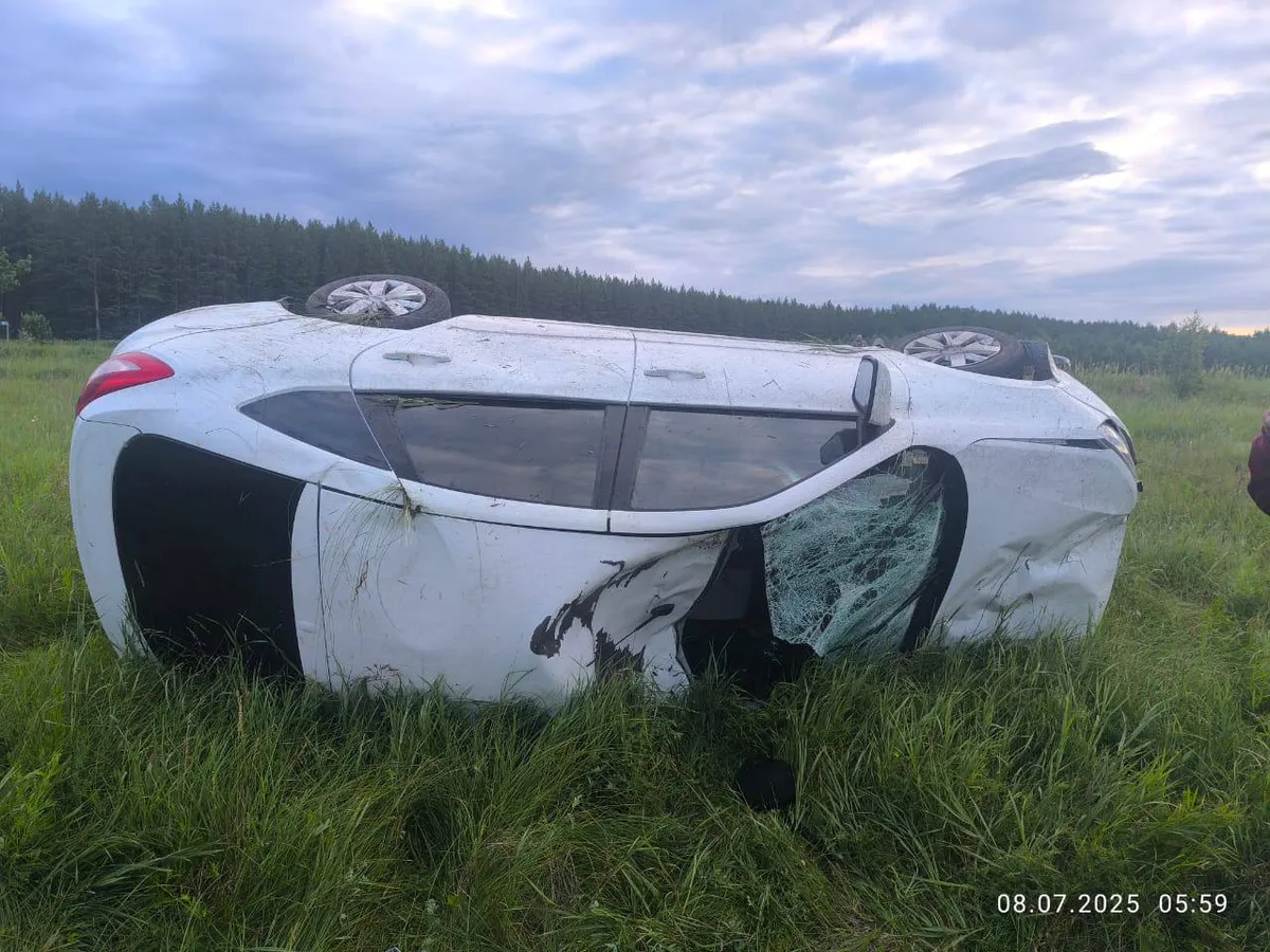 Трагическое ДТП с лосем в Челябинской области унесло жизнь двоих: погибли водитель и животное