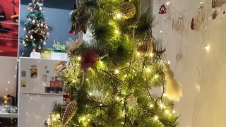 Как в Коми бюджетно елку украшали