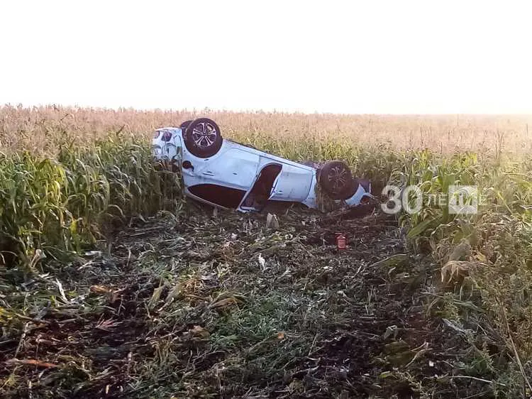 Легковушка вылетела с трассы в кукурузное поле
