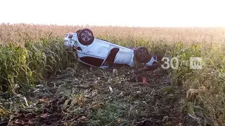 Легковушка вылетела с трассы в кукурузное поле