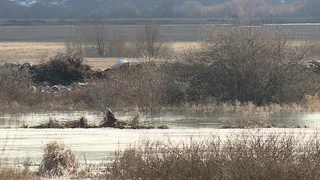 СМИ: паводковые воды почти затопили незаконную свалку аккумуляторов