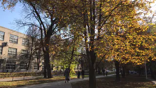 7 ноября в Рязанской области ожидаются дожди и до +11