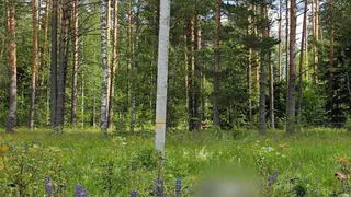 Гибель ребёнка в Ковровском районе стала поводом для уголовного расследования