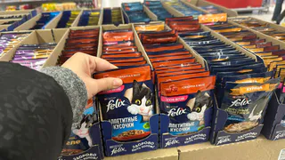 Роскачество назвало самые полезные влажные корма для кошек - в составе только мясо 