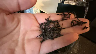 Хуже 100 сигарет: популярный среди россиян чай оказался смертельно опасным 