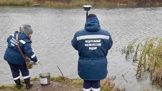 В реке Проня Росприроднадзор обнаружил превышение цинка и меди