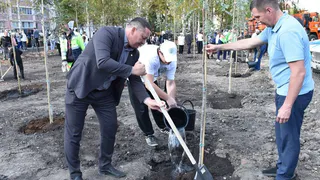 В Пензе взялись за активное озеленение города