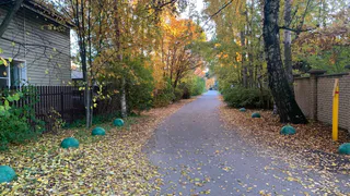 Магнитная буря идет на Землю - произошел мощный выброс плазмы