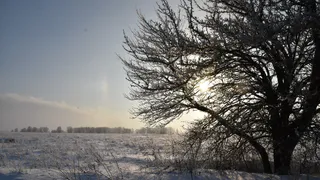 В Касимовском районе температура воздуха упала до -35 градусов