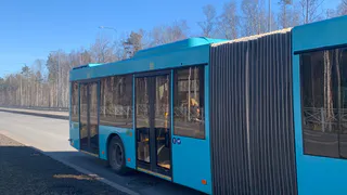 В Брянске до 2030 года планируют закупить почти 200 новых автобусов