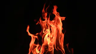 В Рязанской области ввели запрет на пребывание жителей в лесах до 17 июля