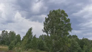 В Коми удерживаются глубокие циклоны из Балтики