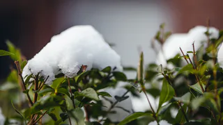 10 мая в Рязанской области прогнозируют дождь и до -5 градусов