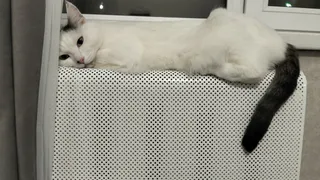 В Татарстане разъяснили, когда можно пересчитать плату за отопление