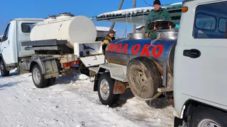 Аграрии Коми нарастили производство на 4-5% благодаря господдержке