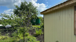 Аномальная жара в марте изменит сроки урожая: когда нужно сажать помидоры и картошку - агрономы предоставили список дат 