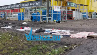 Продавцы стихийного рынка в Пензенском районе устроили свинарник у ТЦ «Ритэйл»