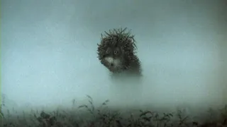 Приметы и запреты на 30 июля: сегодня не заходите в туман…