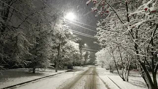 Погода в Татарстане на 22 декабря: неделя для жителей республики начнется с метели