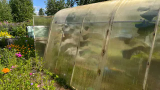 Вносите в почву осенью — кормите сорняки и привлекаете болезни: 3 «помощника», которые на самом деле — угроза