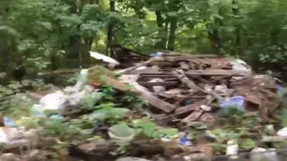 Экологи: на берегу Оки в Рязани образовалась свалка