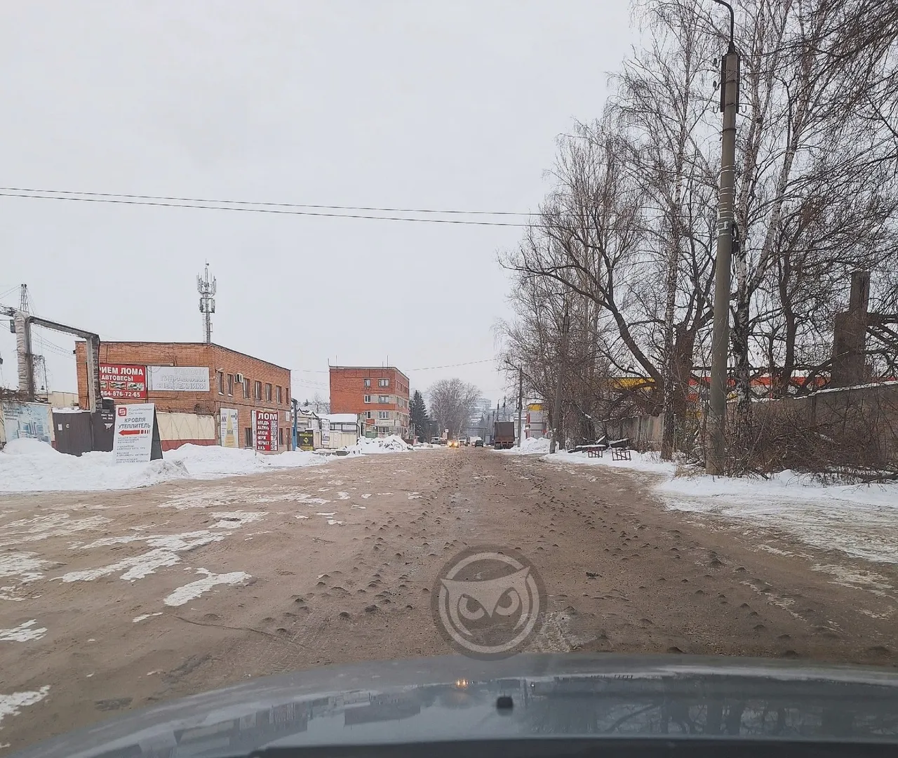 Пензенская Байден-бич в декабре поросла буграми