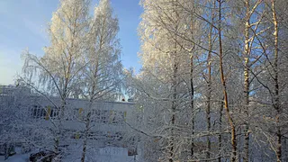 Аномально холодная погода в Коми продержится до 11 декабря