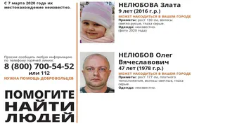 Пропавших более четырёх лет назад мужчину с ребёнком разыскивают во Владимирской области
