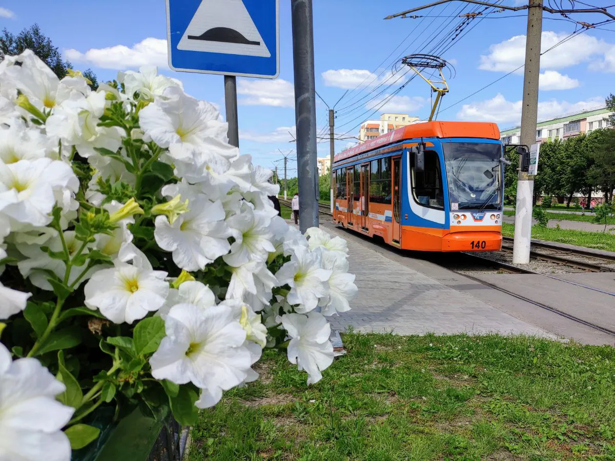 С 2026 года в Нижнекамске подорожает проезд в общественном транспорте