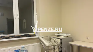 «Когда ребенок рожает ребенка - трагедия»: пензенские чиновники выступили против выплат беременным школьницам