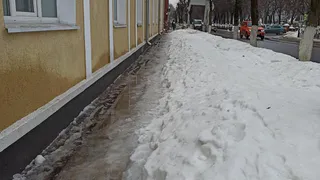 Снег и дождь: какая погода будет в пятницу в Рязанской области