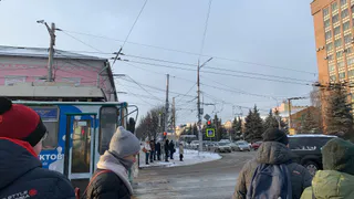 Рязанцы зарегистрировали почти 12 тысяч воробьёв во время всероссийской акции