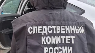 В Коми задержали подозреваемого в убийстве мужчины в Ухте