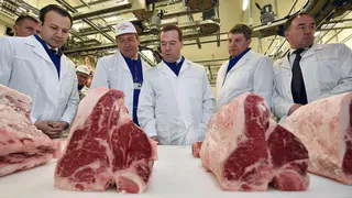 Брянская область получит деньги на погашение сельхозкредитов