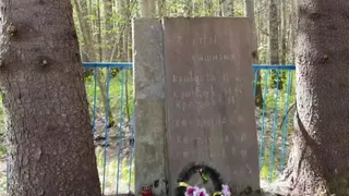 Патриотический поход в посёлке Белые Берега