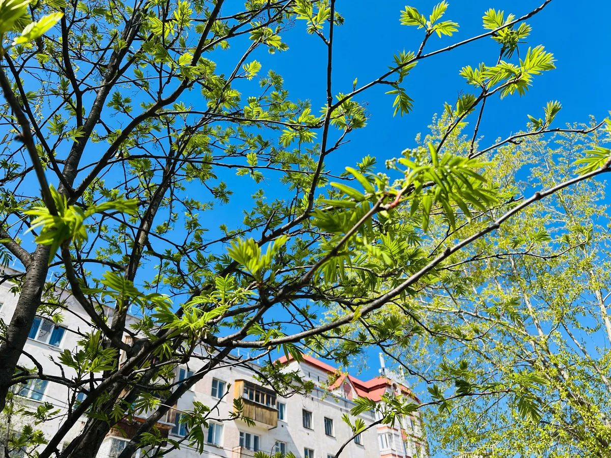 Денежный канал откроется: звезды назвали знаки Зодиака, которые обретут финансовый успех после 29 мая 2025 года