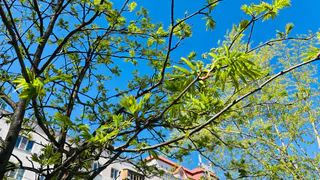 Денежный канал откроется: звезды назвали знаки Зодиака, которые обретут финансовый успех после 29 мая 2025 года