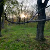 В Пензенской области 616 человек пострадали от укусов клещей с начала сезона