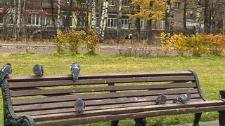 27 октября непогода принесет в Коми осадки: от дождя до снега