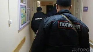В Рязанской области опрос местных жителей помог полиции найти похитителя телефона