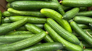 Стакан на ведро воды — и холодные ночи огурцы переживут спокойно: вырастают сладкими, сочными, хрустящими — как будто с юга