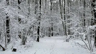 «Зима будет самой страшной в XXI веке». Синоптики сказали, к чему нужно готовиться всем
