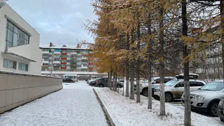 Урожай загнется из-за катастрофы в марте: что ожидать от аномальной зимы 2025 года