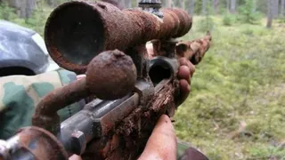 В Брянской области осуждён «чёрный копатель»