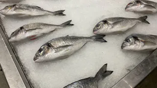 На ярмарках в Рязани продали более 1,5 тонны рыбы