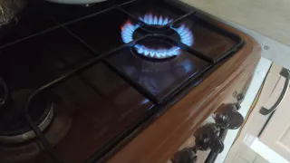 Указ вступил в силу: с 4 февраля штраф 1500 рублей выпишут всем без исключения владельцам квартир с газовой плитой