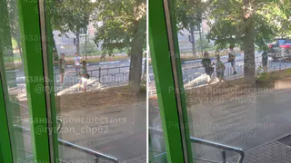 На улице Подгорной в Рязани дети играли на дороге и кидались под машины