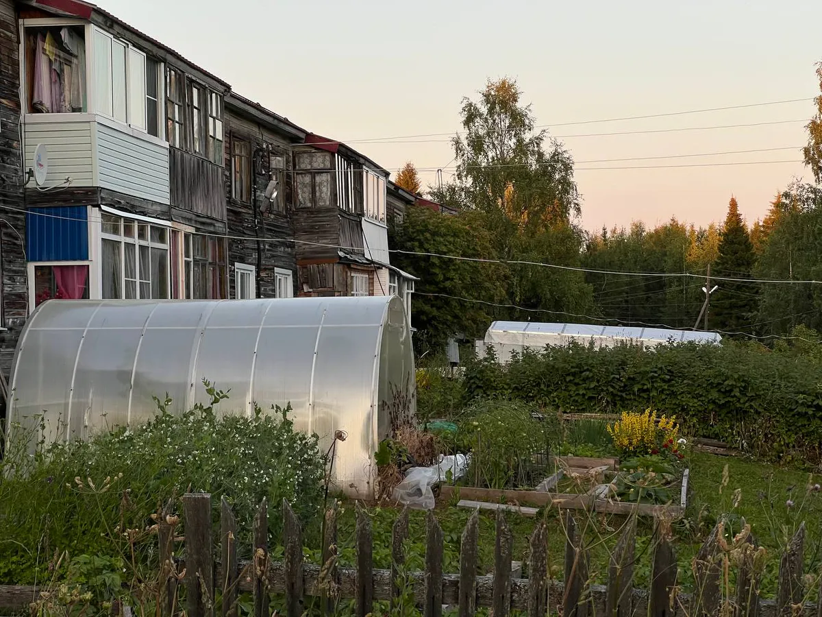 Новые штрафы за бизнес на даче: что нужно знать владельцам участков