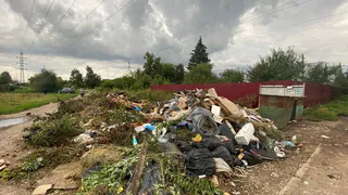 Жители Рыбного Рязанской области пожаловались на свалку на улице