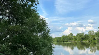 Волонтёры из Рязани убрали мусор у берега, чтобы спасти редкую выхухоль